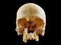 Раскрыта тайна одинокого человеческого черепа в пещере 