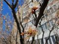 Солнечно и по-весеннему тепло: какой будет погода в Украине 11 апреля