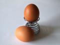В «Ранку з Україною» специалисты развенчали мифы о вреде куриных яиц