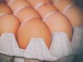 Українські виробники яєць зобов’язалися стабілізувати ціни – Мінагрополітики