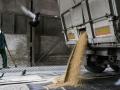 Єгипет планує закупати зерно у Казахстані на заміну російському, - Reuters