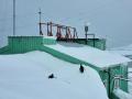 На станції "Академік Вернадський" зафіксовано новий сніговий рекорд
