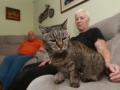 В Великобритании умер самый старый кот в мире в возрасте 32 лет