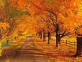 Прогноз погоди на вихідні 7–8 жовтня: ну, привіт, осінь!