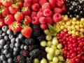 Украина втрое увеличила экспорт ягод в Европу за 5 лет
