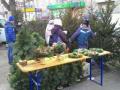 В Киеве на ликвидацию непроданных елок потратят 300 тысяч гривен