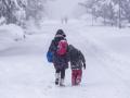 Прогноз погоди на вихідні 27–28 січня: по всій Україні вогко та сніжно