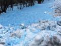 В Петербурге в некоторых районах города выпал синий снег