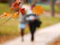 Прогноз погоди на вихідні 11–12 листопада: осінь нагадає про себе