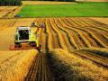 Украинские аграрии в этом году получили почти 2 миллиона бюджетных дотаций