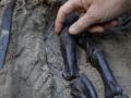 У Канаді знайшли повний скелет динозавра, вкритий шкірою