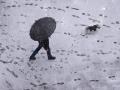 Похолодання та опади: якою в Україні буде погода цього тижня, 12-18 грудня