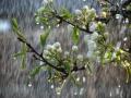 Прогноз погоди на вихідні 8–9 квітня: прохолодно та дощитиме по всій Україні