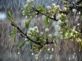 До України йде похолодання зі зливами та грозами: синоптик попередив про погіршення погоди