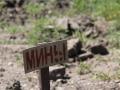 Военные РФ продолжают минировать оккупированные территории и “серую” зону - InformNapalm