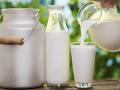 В Україні зростають закупівельні ціни на молоко - експерти