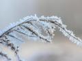 Якою буде погода в останній місяць зими: прогнозу Укргідрометцентру на лютий