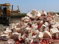 В РФ в новом году уничтожили почти 20 тыс. тонн санкционных продуктов