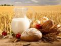 Масло, хлеб и не только; Украина продала в ЕС агропродукции на $5,2 миллиарда