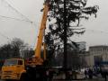 Кишиневу вернут деньги за поломанную елку из Украины