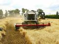 Минагрополитики Украины подписало меморандум с зернотрейдерами по экспорту зерна