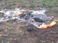 В Одесской области сатанисты сожгли человека