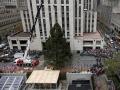 В Нью-Йорке установили главную рождественскую ель города