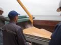 Україна в рамках "зернової угоди" експортувала 9 млн тонн агропродукції