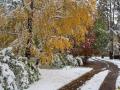 В Україні очікується сніг: синоптик назвала дату