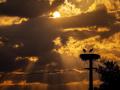 Нова пляма на Сонці: вчені попереджають про потужну магнітну бурю