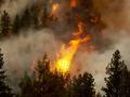 На Херсонщине локализовали лесной пожар на площади 70 гектаров