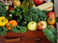 Чи буде в Україні дефіцит овочів та фруктів та на які ціни чекати восени та взимку: прогноз експерта