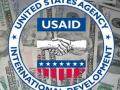 USAID разрабатывает правила гигиены для производителей свинины в Украине