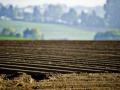 Украина входит в первую пятерку стран где контролируют сельхозземли иностранцы