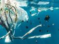 Як назавжди припинити забруднення Землі пластиком – дослідження