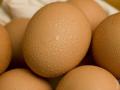 Скільки коштують яйця зараз та чи буде стрибок цін восени