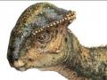 Вчені виявили новий вид динозаврів з унікальною будовою черепа