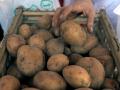 Експерт пояснив, що буде з цінами на картоплю в Україні