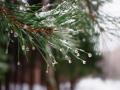 Синоптикиня розкрила причину сьогоднішніх опадів та попередила про несподівану погоду на Різдво та Новий рік