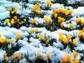 7 лютого Україну охопить справжнє весняне тепло