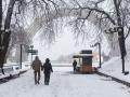 Морозно, подекуди сильний вітер. Синоптик розповіла, якою буде погода 21 лютого