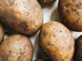 Зростають ціни на картоплю: Україна почала імпортувати продукт з Польщі, Литви та Латвії