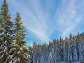 Прогноз погоди на 22 січня: в Україні будуть сніг, туман і плюсові температури