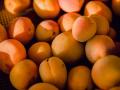 Абрикоси вже на прилавках: які ціни і що з урожаєм цього року