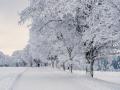 17 січня в Києві буде найхолодніший день тижня
