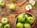 В Україні зростають ціни на яблука: вартість б'є рекорди