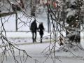 Прогноз погоди на 15 грудня: де в Україні буде сніг та ожеледиця