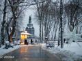 В Україні зими можуть стати теплішими: синоптик дав прогноз