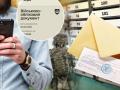 Мобілізація в Україні: Кабмін затвердив зміни вручення повісток поштою