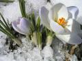 Без снігу не обійдеться: детальний прогноз погоди у Києві у березні